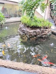 Horizon Gardens (D20), Terrace #636392211